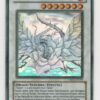 Yugioh! Black Rose Dragon CSOC-EN039 ITALIAN Ghost Rare